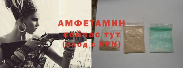 ECSTASY Тайга