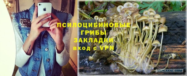 мяу мяу мука Протвино