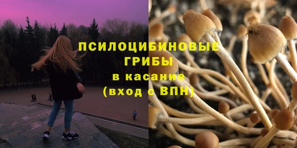 гидра Тавда