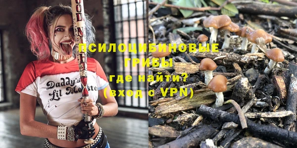 хмурый Приозерск