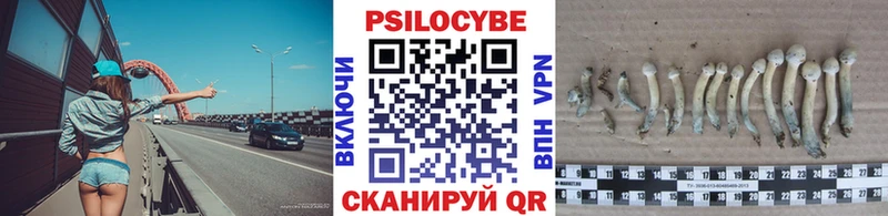 где купить наркотик  Биробиджан  Галлюциногенные грибы MAGIC MUSHROOMS 