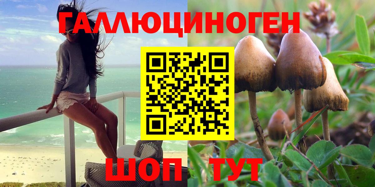 Галлюциногенные грибы Psilocybe Биробиджан