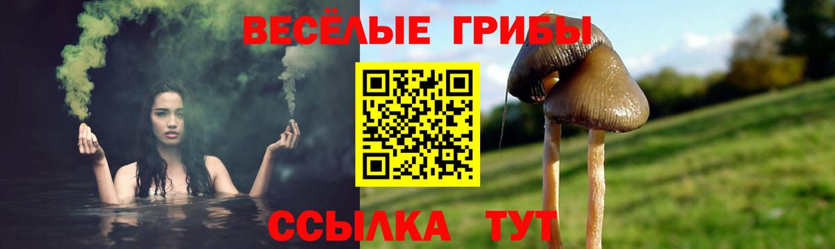 Галлюциногенные грибы прущие грибы  Вход с VPN  Биробиджан 